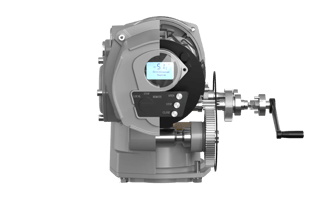 Quarter-turn actuator rendering