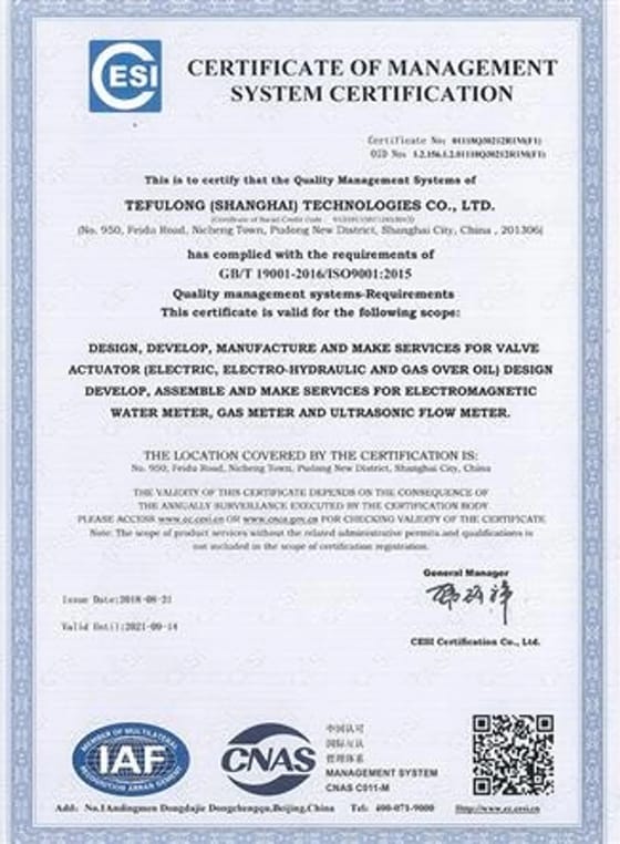 ISO 9001
