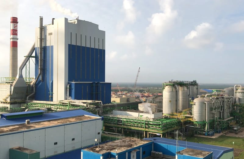 OKI Pulp & Paper Mills Project